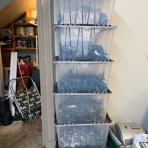 Organized Christmas 🎄 lights